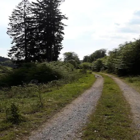 Lägenhet Im Sauerland Elpe