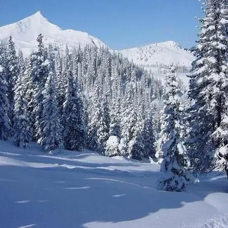 Lägenhet Im Sauerland Elpe
