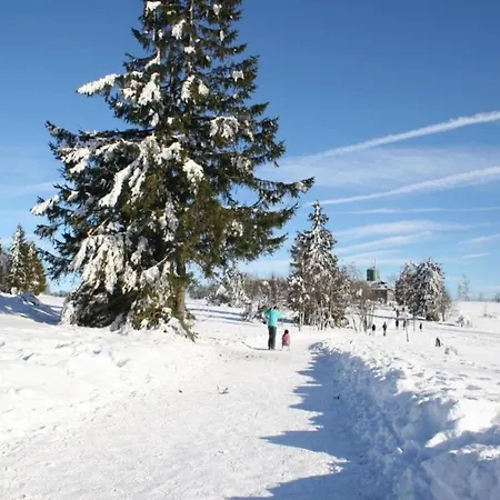 Апартаменты Im Sauerland