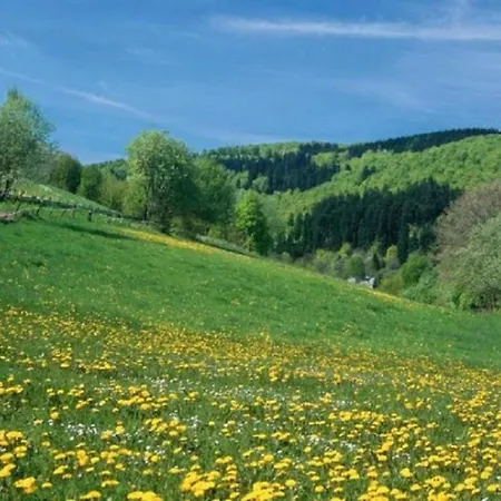 Im Sauerland * Elpe