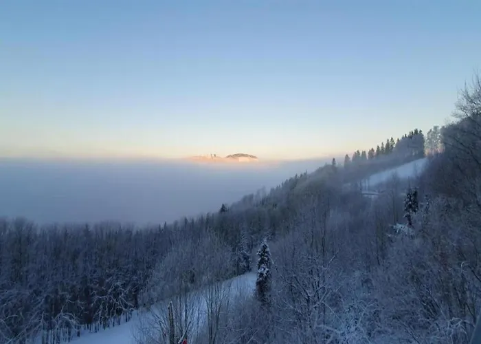 Im Sauerland 公寓 Elpe