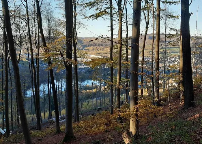 公寓 Im Sauerland Elpe