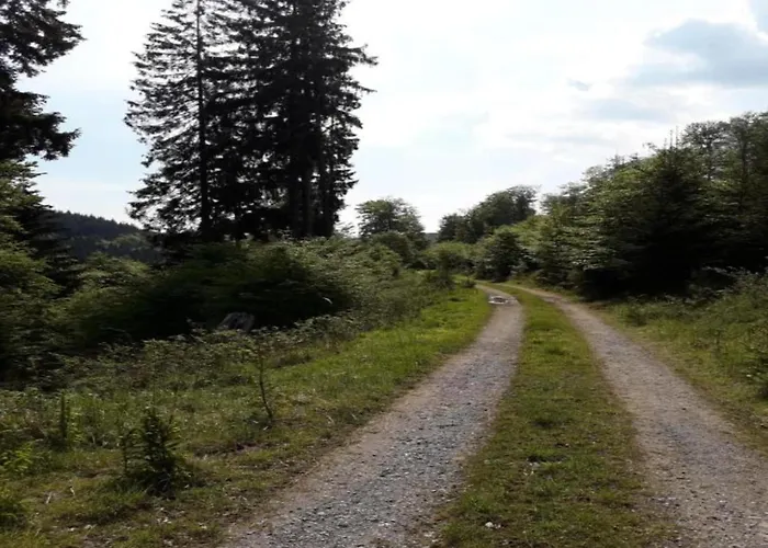 公寓 Im Sauerland Elpe