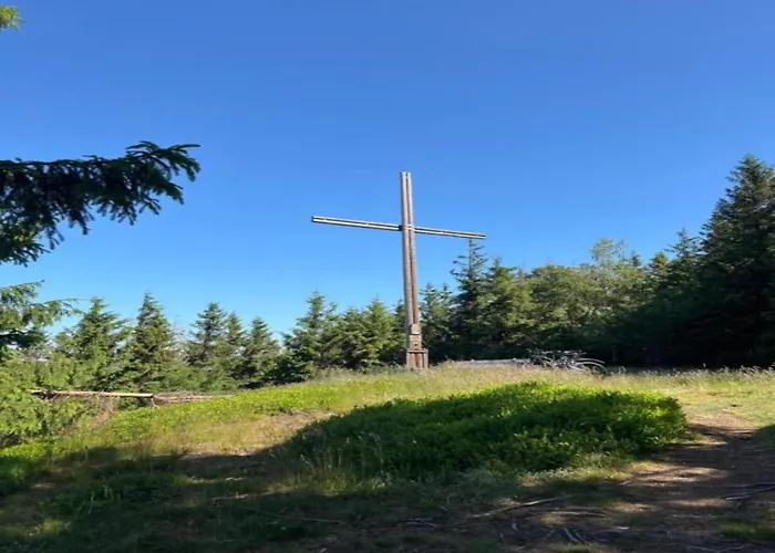 Im Sauerland 公寓 *