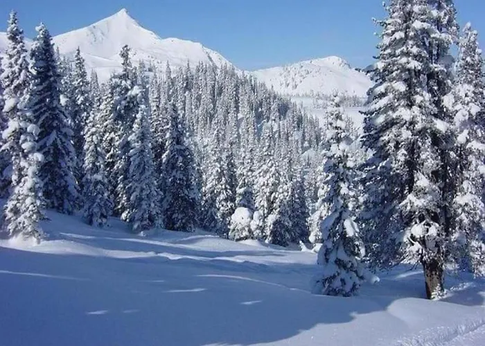 公寓 Im Sauerland Elpe