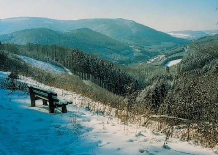 Im Sauerland 公寓 Elpe